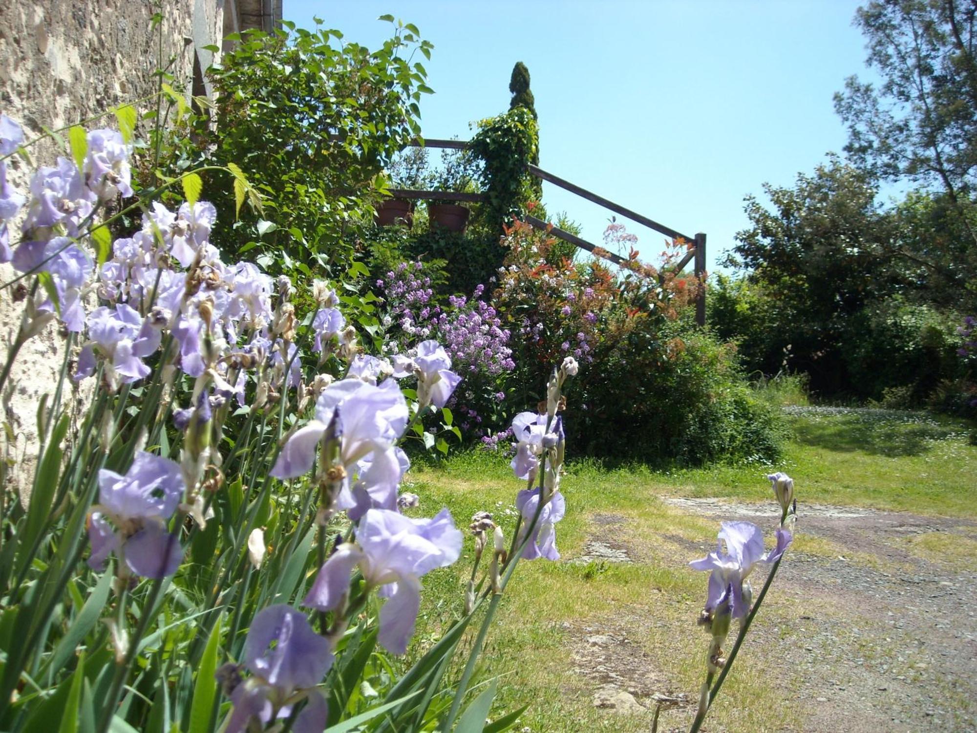 La Tour Des Laudes Bed & Breakfast Breuil-Barret Екстериор снимка